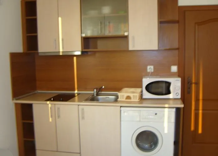 Orhideya Apartament *